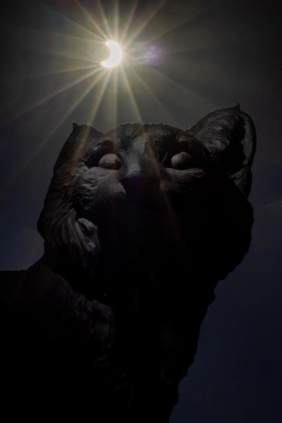 A view of the partial solar eclipse on Oct. 14, with the Wildcat Family statue — which depicts four bobcats, including two cubs — in the foreground.